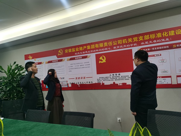 安徽鹽業(yè)地產(chǎn)集團(tuán)機(jī)關(guān)第一黨支部開展“佩黨徽、誦誓詞、贈黨章、上黨課”黨員教育活動