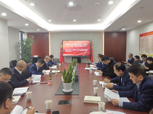 安徽鹽業(yè)地產(chǎn)集團公司開展新一輪深化“三個以案”警示教育集中學(xué)習(xí)