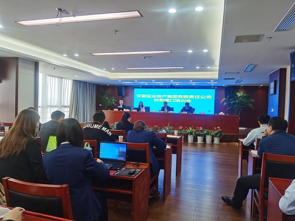 徽鹽地產(chǎn)集團(tuán)開展明源與財(cái)務(wù)接口實(shí)操培訓(xùn)