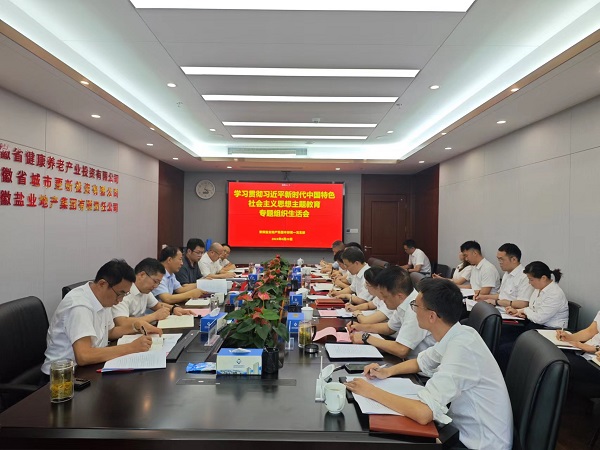 安徽鹽業(yè)地產(chǎn)集團本部第一黨支部召開主題教育專題組織生活會